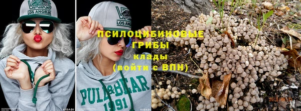 ГАЛЛЮЦИНОГЕННЫЕ ГРИБЫ Горно-Алтайск