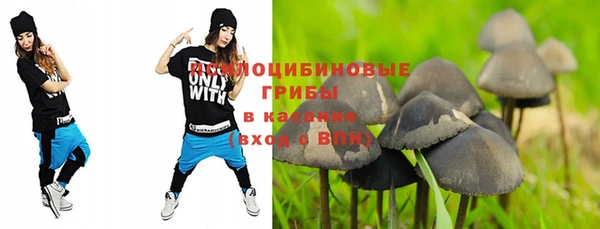 ГАЛЛЮЦИНОГЕННЫЕ ГРИБЫ Горно-Алтайск