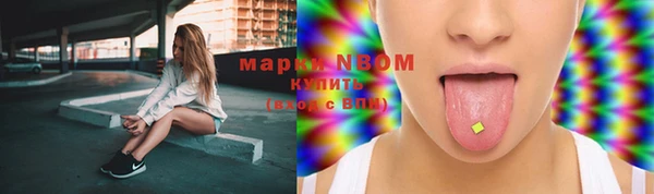 2c-b Горнозаводск