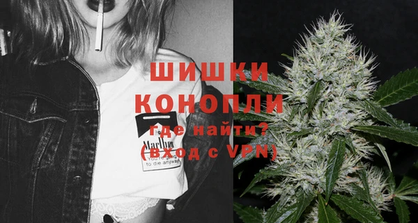2c-b Горнозаводск