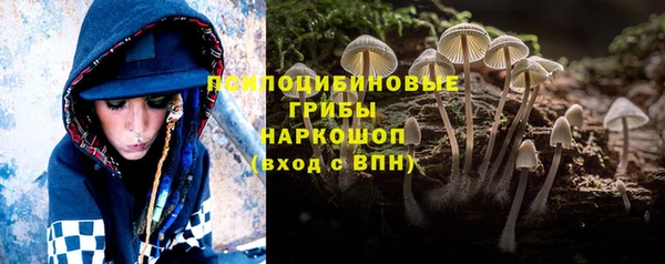 ГАЛЛЮЦИНОГЕННЫЕ ГРИБЫ Горно-Алтайск