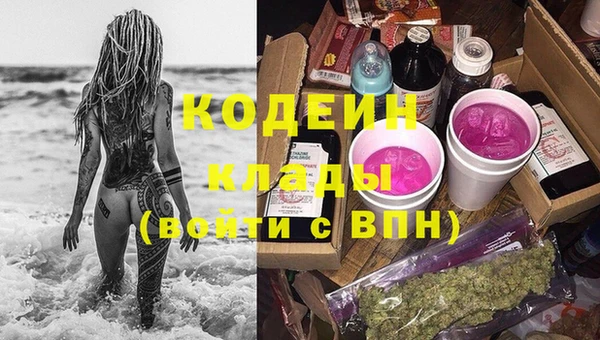 ГАЛЛЮЦИНОГЕННЫЕ ГРИБЫ Горно-Алтайск
