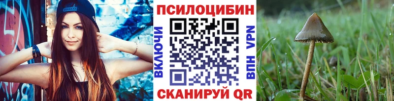 Галлюциногенные грибы прущие грибы  как найти наркотики  Владикавказ 